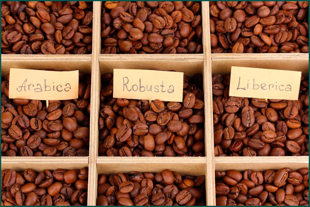 Разновидности зерен кофе