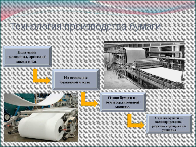 Производство бумаги картинки для детей